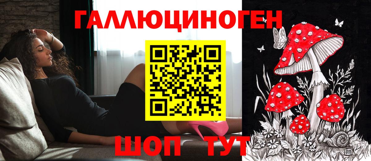 Галлюциногенные грибы GOLDEN TEACHER Казань